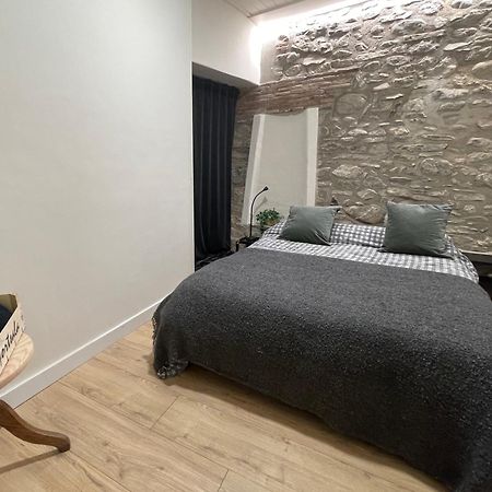 Apartamento Colgante Al Rio Con Vistas Al Puente Camprodon Extérieur photo