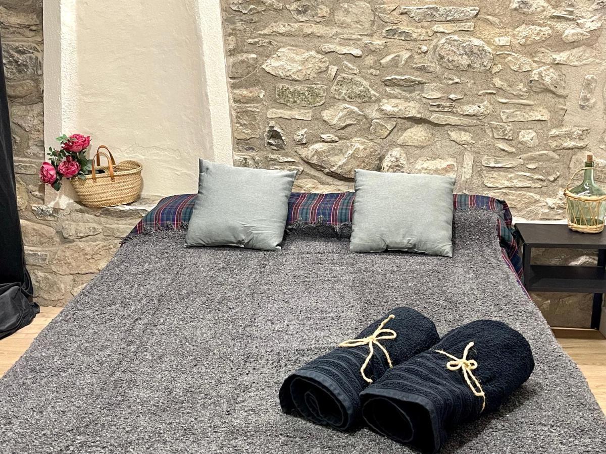 Apartamento Colgante Al Rio Con Vistas Al Puente Camprodon Extérieur photo